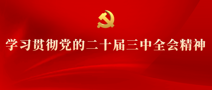 學(xué)習(xí)專(zhuān)欄 | 黨的二十屆三中全會(huì)精神解讀(十三)